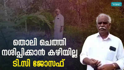 മഞ്ഞക്കൊന്ന നശിപ്പിക്കാന്‍ സ്വീകരിക്കുന്ന രീതിക്ക് എതിർപ്പ് | Invasive Plants