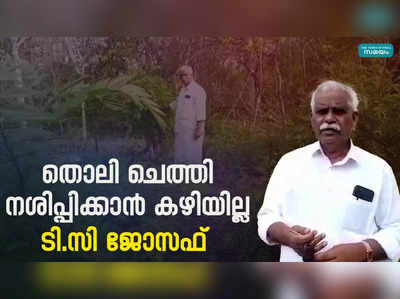 മഞ്ഞക്കൊന്ന നശിപ്പിക്കാന്‍ സ്വീകരിക്കുന്ന രീതിക്ക് എതിർപ്പ് | Invasive Plants