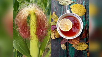 भुट्टे के बाल और नींबू की चाय से निकलेगी पथरी, फेंकने से पहले जान लें Corn Silk के ये 5 फायदे