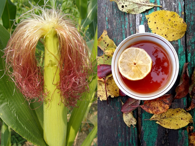 भुट्टे के बाल और नींबू की चाय से निकलेगी पथरी, फेंकने से पहले जान लें Corn Silk के ये 5 फायदे