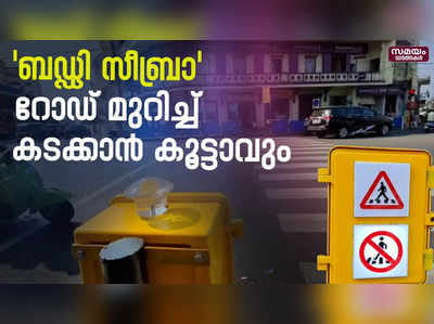 ഈ റോഡ് കാഴ്ച പരിമിതിയുള്ളവർക്കും ഇനി ധൈര്യമായി മുറിച്ച് കടക്കാം | Buddy Zebra