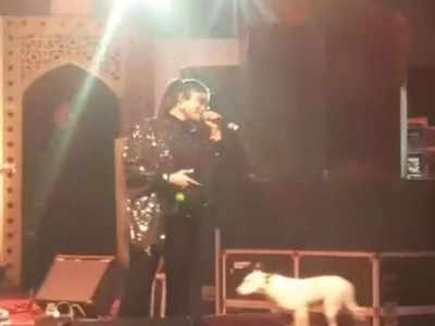 Agra News: ताज महोत्सव में परफार्मेंस के दौरान मंच पर पहुंचा कुत्ता, जमकर हुई हूटिंग, डीएम साहब देखते रहे, देखें वीडियो