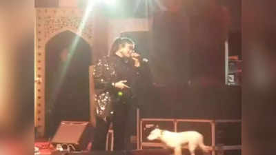 Agra News: ताज महोत्सव में परफार्मेंस के दौरान मंच पर पहुंचा कुत्ता, जमकर हुई हूटिंग, डीएम साहब देखते रहे, देखें वीडियो