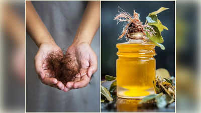 DIY Oil For Hair Fall: ৩ সপ্তাহেই বন্ধ হবে গোছা গোছা চুল ওঠা, ঘরে তৈরি এই তেল মাত্র ২ বার মাখুন