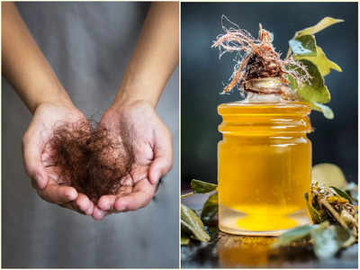 DIY Oil For Hair Fall: ৩ সপ্তাহেই বন্ধ হবে গোছা গোছা চুল ওঠা, ঘরে তৈরি এই তেল মাত্র ২ বার মাখুন