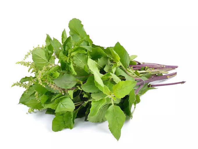 Tulsi leaves flush out lung impurities