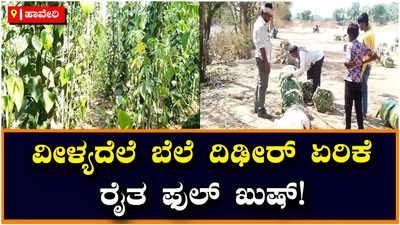 Savanur Betel Leaf: ಸವಣೂರಿನ ವೀಳ್ಯದೆಲೆ ಬೆಲೆ ದಿಢೀರ್‌ ಏರಿಕೆ; ಬಂಪರ್‌ ಆದಾಯದ ನಿರೀಕ್ಷೆಯಲ್ಲಿ ರೈತ!