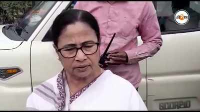 Mamata Banerjee Video: হাতির হানায় মৃত্যু, শিক্ষা দফতরকে কী নির্দেশ মুখ্যমন্ত্রীর