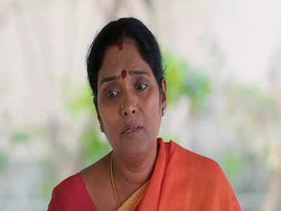 Meenakshi Ponnunga: வெற்றியை அவமானப்படுத்தும் பூஜா.. தற்கொலை செய்ய துணியும் யமுனா - மீனாட்சி பொண்ணுங்க இன்றைய எபிசோட் அப்டேட்