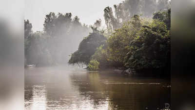 Bhitarkanika National Park: ఆ అడవుల్లో ఈ మహోత్సవ్‌ను చూడండి.. ఒడిశాలో అరుదైన ప్రదేశం గురించి తెలుసా?