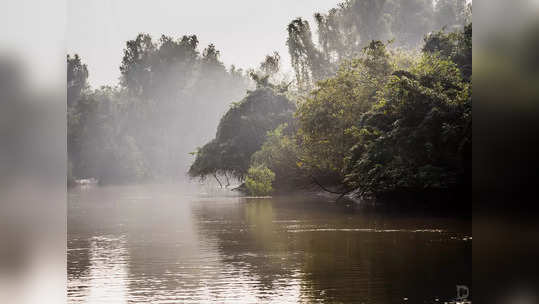 Bhitarkanika National Park: ఆ అడవుల్లో ఈ మహోత్సవ్‌ను చూడండి.. ఒడిశాలో అరుదైన ప్రదేశం గురించి తెలుసా? 