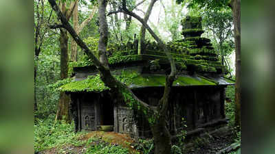 Kannur Fort: ಕಾನೂರು ಕೋಟೆಗೆ ಬೇಕಿದೆ ಕಾಯಕಲ್ಪ: ಶಿಥಿಲಾವಸ್ಥೆ ತಲುಪಿದರೂ ದುರಸ್ತಿಗೆ ನಿರ್ಲಕ್ಷ್ಯ