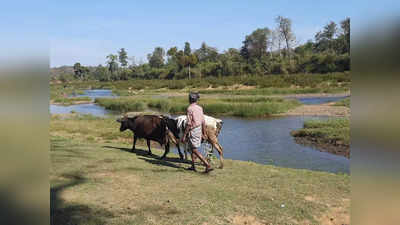 കബിനി നദിയിലടക്കം ജലനിരപ്പ് താഴുന്നു: കുടിയേറ്റമേഖല വരള്‍ച്ചയുടെ പിടിയിലേക്ക്; വേനല്‍മഴ കാത്ത് കര്‍ഷകര്‍