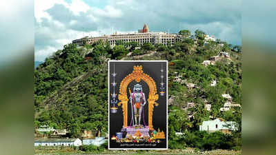 Palani Murugan Temple பழனி முருகன் கோவில் உண்டியல் வசூல் : தைப்பூச காணிக்கை ரூ.7 கோடியை கடந்தது