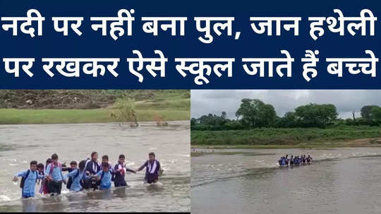 katni bridge is not built on the river children here go to school by keeping their lives on palm