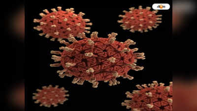 Adenovirus Infection : অ্যাডিনো সন্দেহেও পরীক্ষা করোনার