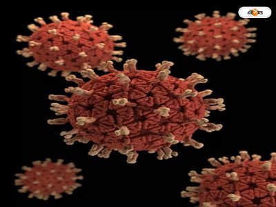 Adenovirus Infection : অ্যাডিনো সন্দেহেও পরীক্ষা করোনার
