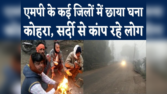 mp weather update video shadow dense fog in shajapur bonfire protect from cold wave
