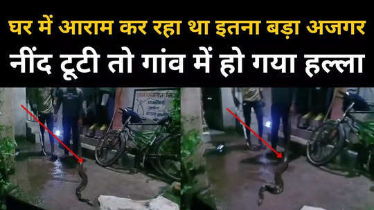 seven feet long python in house there was chaos in village at two am night when woke up watch video