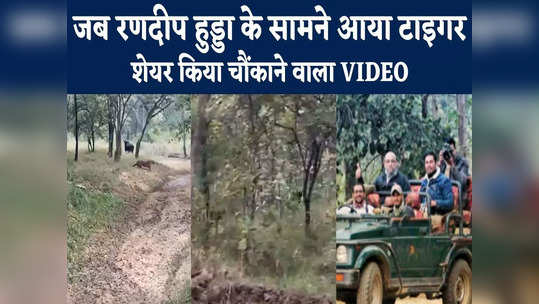 randeep hooda ko satpura tiger reserve me dikha tiger khud kia share watch video