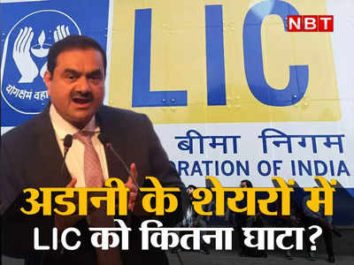 LIC Investment in Adani : डूब रहा है एलआईसी का पैसा, जानिए अडानी ने कितनी बड़ी लगाई चपत