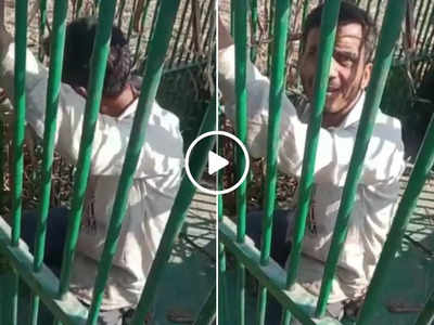 Viral Video: तेंदुआ पकड़ने के लिए बिछाया था जाल, लेकिन मुर्गे की लालच में बंदा ही पिंजरे में फंस गया
