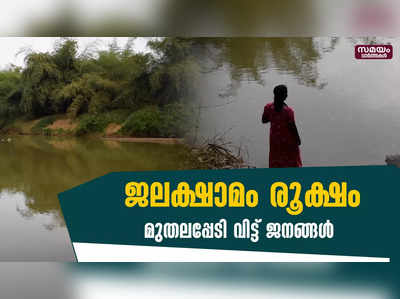 അലക്കും കുളിയും മുതലകളും ചീങ്കണ്ണികളും വിഹരിക്കുന്ന പനമരം പുഴയിൽ തന്നെ | water shortage