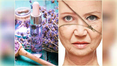 Lavender Oil For Skin: বয়সের কাঁটা উলটো দিকে ঘুরবে, বলিরেখা উধাও! এই তেল মাত্র ২ ফোঁটা মুখে মাখলেই হবে