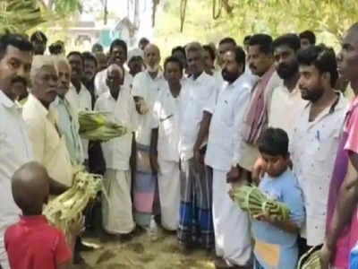 திருப்பத்தூர் அருகே பாரிவேட்டை விழா கொண்டாட்டம் - பாரம்பரிய சம்பிரதாயத்தை நிறைவேற்றிய கிராமம்