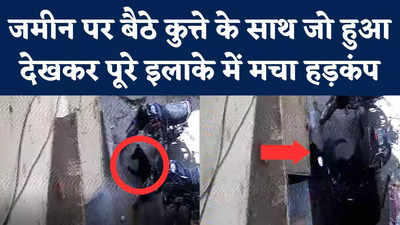 South Delhi RK Puram Road Collapses: दिल्ली के आरके पुरम इलाके में अचानक खौफनाक हादसा, CCTV वीडियो वायरल