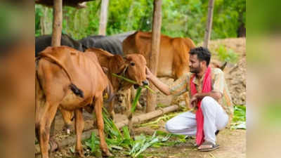 விவசாயிகளுக்கு சிறப்பு முகாம்.. கால்நடை வளர்ப்பை ஊக்குவிக்க நடவடிக்கை!