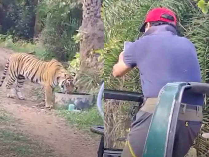 दो दिन की निजी यात्रा पर रणथंभौर में थे सिंधिया 