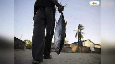 Bangladesh Trending News : ২টি মাছ বেচেই  লাখপতি মৎস্যজীবী, কত টাকা পেলেন জানেন?