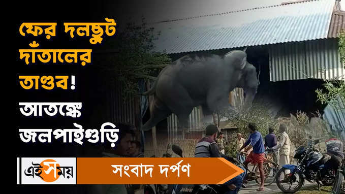 Jalpaiguri News: ফের দলছুট দাঁতালের তাণ্ডব! আতঙ্কে জলপাইগুড়ির মানুষ