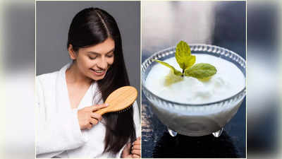 Curd For Hair: চুল উঠে মাথার সামনে টাক? ঘন কালো চুল পেতে টক দইয়ের সঙ্গে এই উপাদান মিশিয়ে মাখুন মাত্র ২ দিন