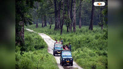 Dooars Jungle Safari : আদৌ কি নিরাপদ জিপসি সাফারি, প্রশ্ন জলদাপাড়ায়