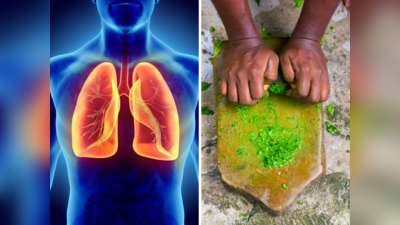 छातीत जडपणा, धाप लागणं, ऑक्सिजनची कमतरता जाणवते? फुफ्फुसातील घाण काढून श्वास स्वच्छ करतात हे 5 आयुर्वेदिक उपाय