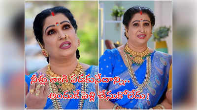 Brahmamudi: హీరోయిన్ అయ్యే స్టేజ్ నాది.. కానీ చివరికి ఇలా: సీనియర్ నటి రాగిణి