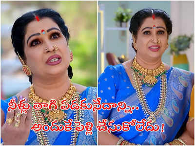 Brahmamudi: హీరోయిన్ అయ్యే స్టేజ్ నాది.. కానీ చివరికి ఇలా: సీనియర్ నటి రాగిణి