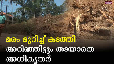 ലക്ഷങ്ങൾ വിലയുള്ള മരം മുറിച്ച് കടത്തി ; മൗനം നടിച്ച് അധികൃതർ