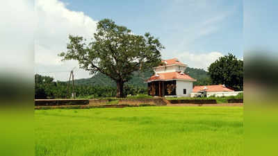 ഉത്രാളിക്കാവ് പൂരത്തിന് പോകുവാണോ? ഗതാഗത നിയന്ത്രണമുണ്ട്; ഇക്കാര്യങ്ങൾ ശ്രദ്ധിക്കണം