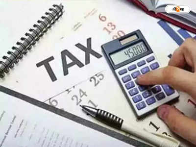 Tax Planning: আয়করে টাকা বাঁচানোর শেষ মুহূর্তের টিপস, কোন ভুলগুলো ভুলেও করবেন না