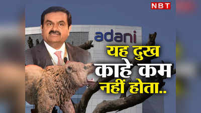 Adani Group Shares : लाल ही लाल! अडानी के सभी शेयरों में गिरावट, 6 में लोअर सर्किट, क्या है वजह?