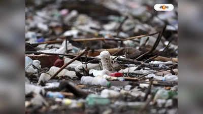 Water Pollution : দিল্লি-বেঙ্গালুরুর ফেনা দূষণ এবার নিউটাউনের খালেও