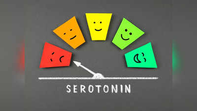 Serotonin Levels : செரோடோனின் ஹார்மோன் அதிகரிக்க இந்த 5 உணவுகளை சாப்பிடுங்க.. மன அழுத்தம், பதட்டம் இல்லாம வாழுங்க...