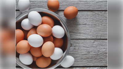 Egg Benefits: ಮೊಟ್ಟೆಯನ್ನು ಯಾವ ರೀತಿ ತಿನ್ನಬೇಕು ಹಾಗೂ ಎಷ್ಟು ತಿನ್ನಬೇಕು ಗೊತ್ತಾ?