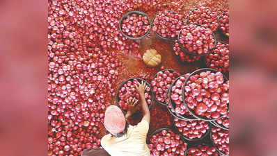 Onion Price: 2-4 रुपये किलो प्याज, कीमत सुनकर आंसू बहा रहे किसान.... महाराष्ट्र में मंडी से लेकर सदन तक सियासत