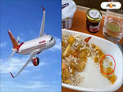 Air India Flight : বিজনেস ক্লাসের খাবারে জ্যান্ত পোকা! ফের বিতর্কে এয়ার ইন্ডিয়া