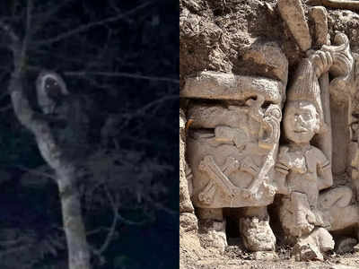 Maya Civilization Alux: दुनिया में जहां जाता है, तबाही लाता है अलक्‍स, मैक्सिको के राष्ट्रपति ने शेयर की माया सभ्‍यता के रहस्‍यमय जीव की तस्वीर, जानें