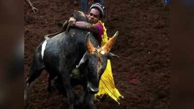 Jallikattu Goes To Church: ತಮಿಳುನಾಡಿನಲ್ಲಿ ಚರ್ಚ್‌ಗಳಿಂದಲೂ ಜಲ್ಲಿ ಕಟ್ಟು ಆಯೋಜನೆ!